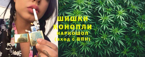 прущие грибы Навашино