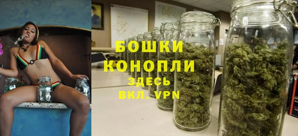 стафф Билибино