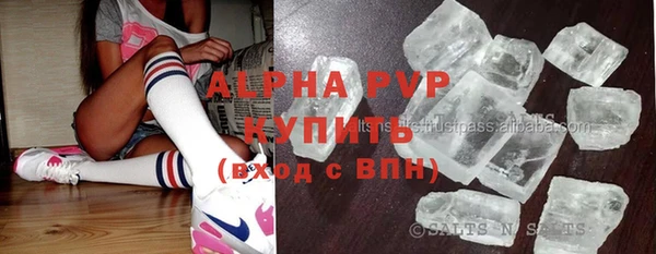 прущие грибы Навашино