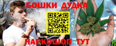 амф Дубна