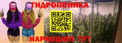 амф Дубна