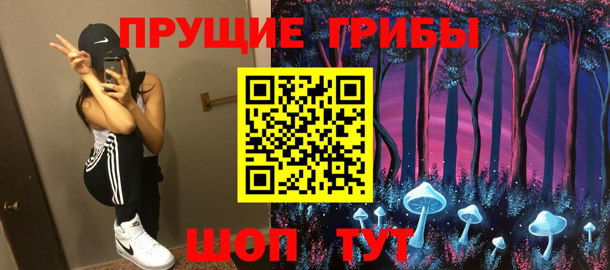 Галлюциногенные грибы Psilocybe  Вход с VPN  Псков 