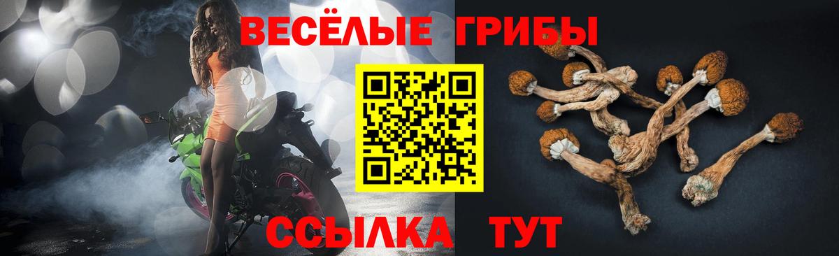 Галлюциногенные грибы Cubensis Псков